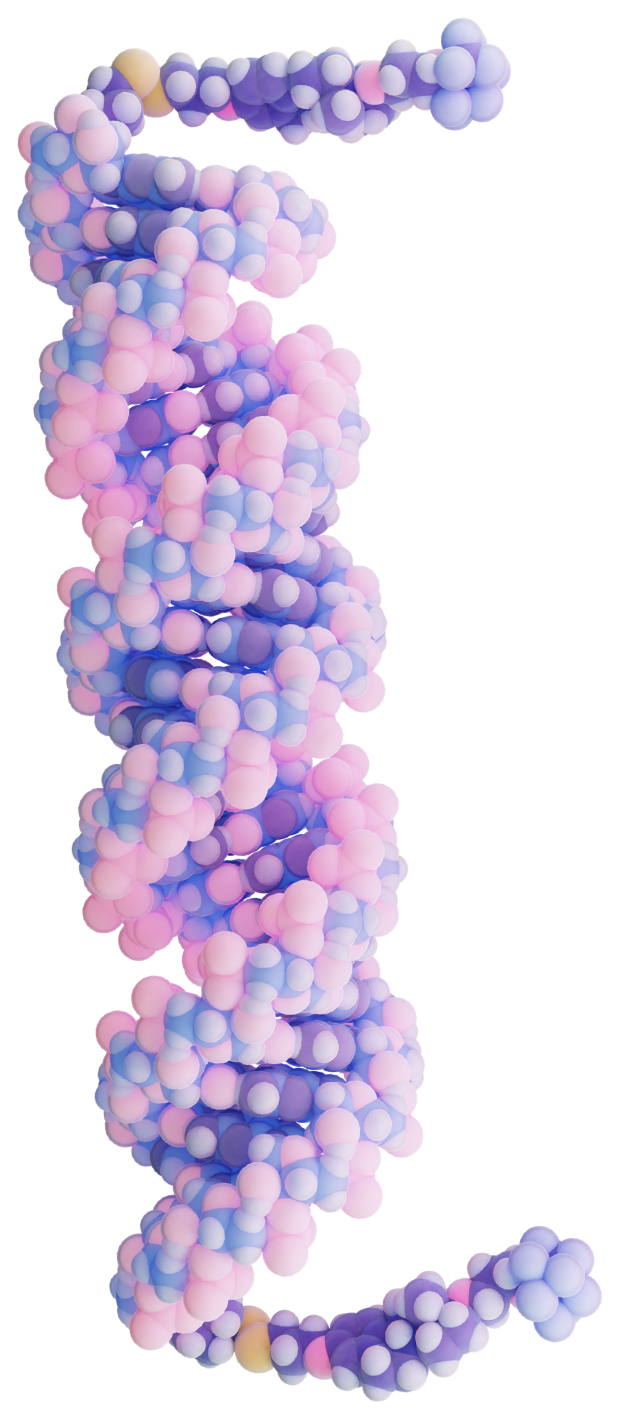 RNA molecule pulled by MNMs