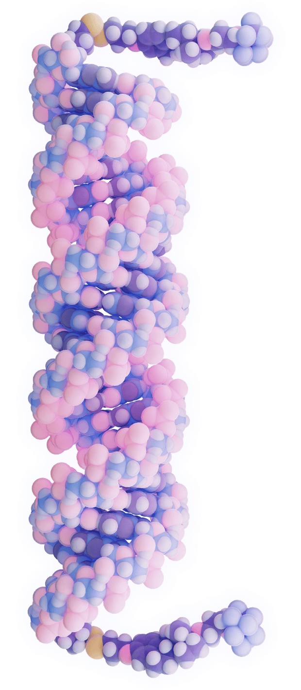 RNA molecule entering a cell thanks to MNMs