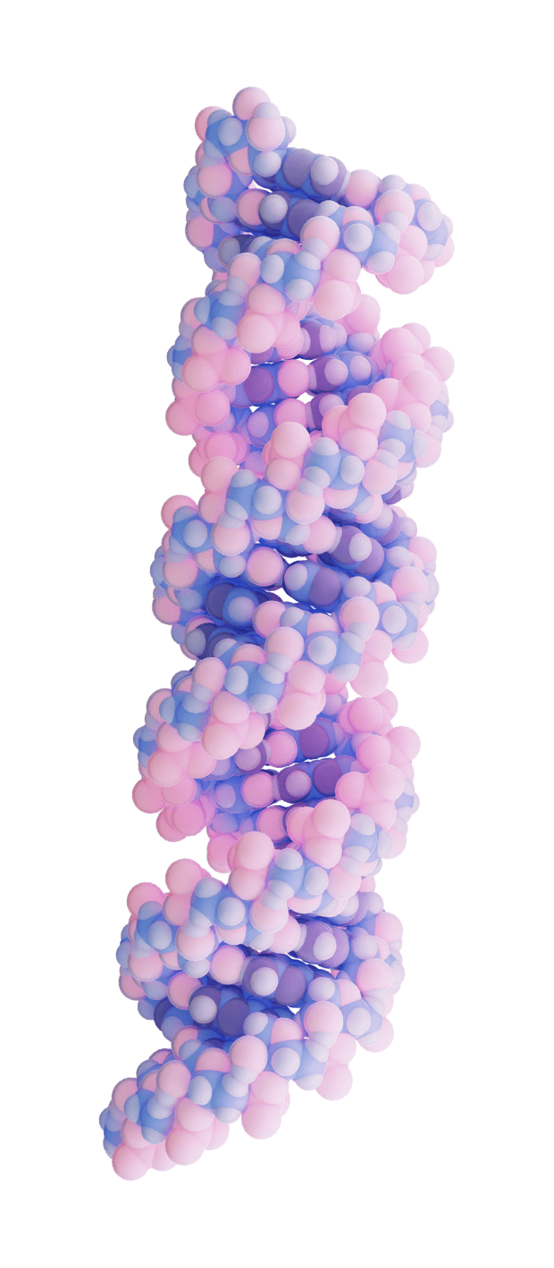 RNA molecule inside the cell